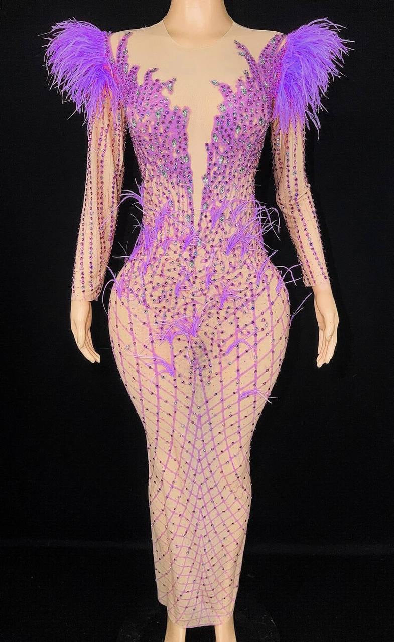 Luxury See Through Feather Dress