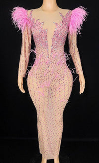 Thumbnail for Luxury See Through Feather Dress