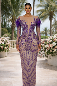 Thumbnail for Luxury See Through Feather Dress